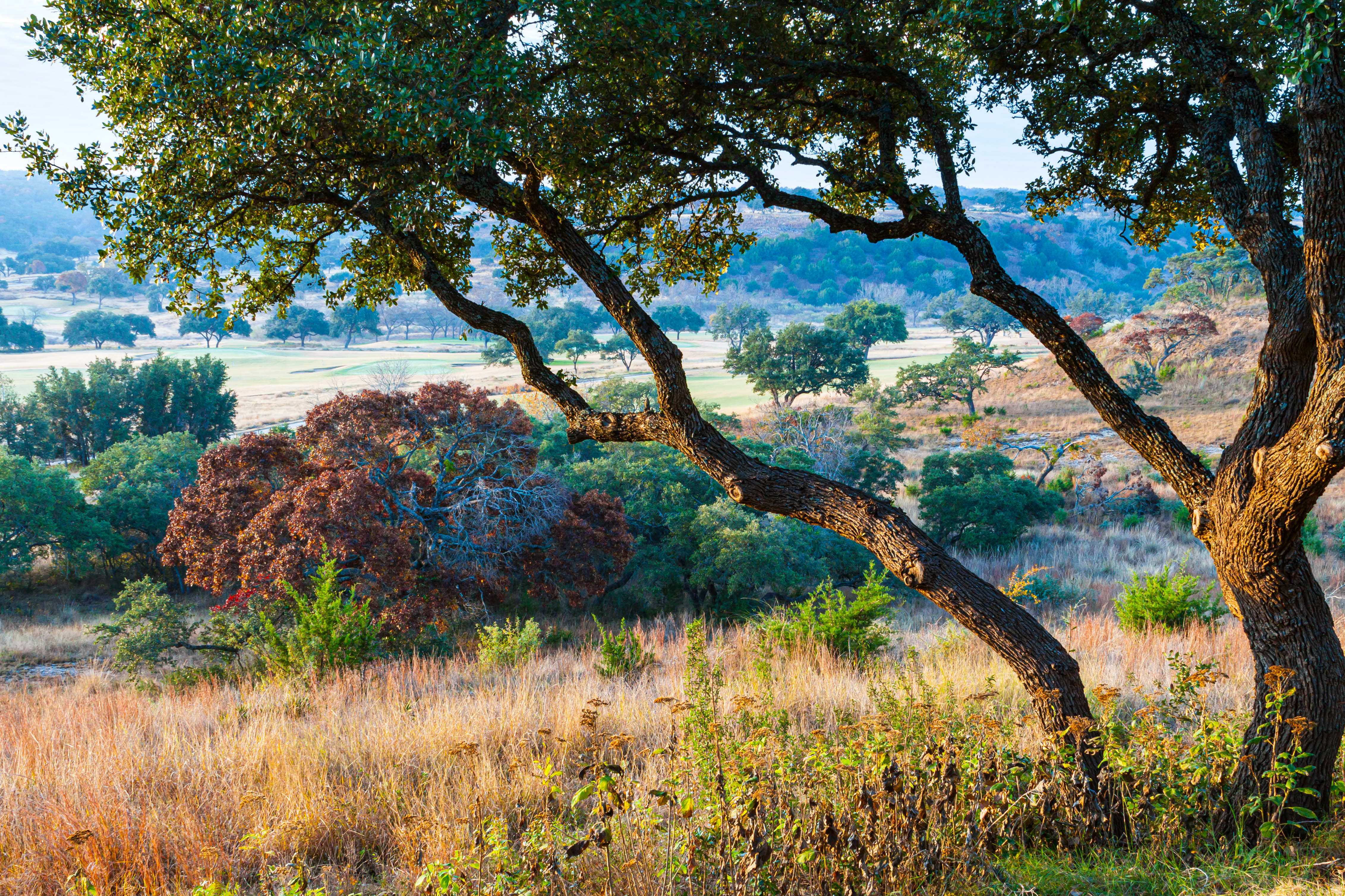 The town of Fredericksburg in the Texas Hill Country